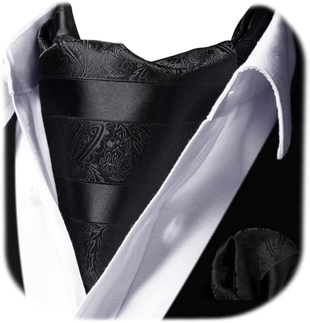 HISDERN Cravat for Men Paisley Floral Cravats Handkerchief Jacquard Wedding Ascot Tie & Pocket Square Set