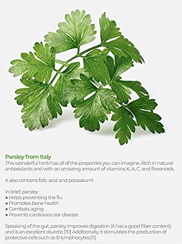 Oregarlix Premium Gut Health Supplement. Best Support For Intestinal Cleansing Microbial Balance With Premium Prebiotics - Help Keep Good Bacteria Healthy & Growing - 100% Natural (3-Pack) #TOP4