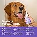 HICC PET Dog Dental Care Spray, Vet-Trusted Breath Freshener & Teeth Cleaning Spray, Eliminate Bad Breath, Support Healthy Gums, Help Reduce Plaque & Tartar, No Brushing, 5.1 Fl Oz