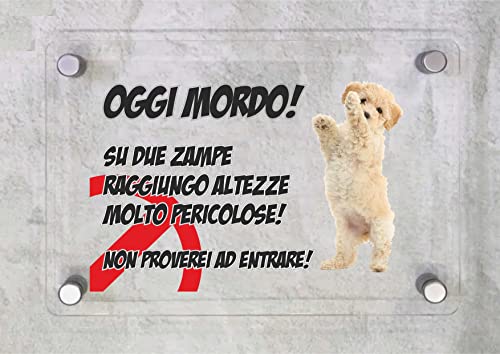 CARTELLO IN PLEXIGLASS SEGNALETICO - Attenti al cane barboncino, OGGI MORDO - Con Distanziali in acciaio inox e Stampa U.V. (15X21 cm)