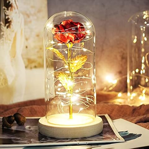 Winnsty Mothers Day Mom Gifts Beauty and The Beast Rose, Enchanted Rose with Led Light in Glass Dome, Unique Gift for Anniversary, Mother's Day,Birthday,Valentine's Day Cover