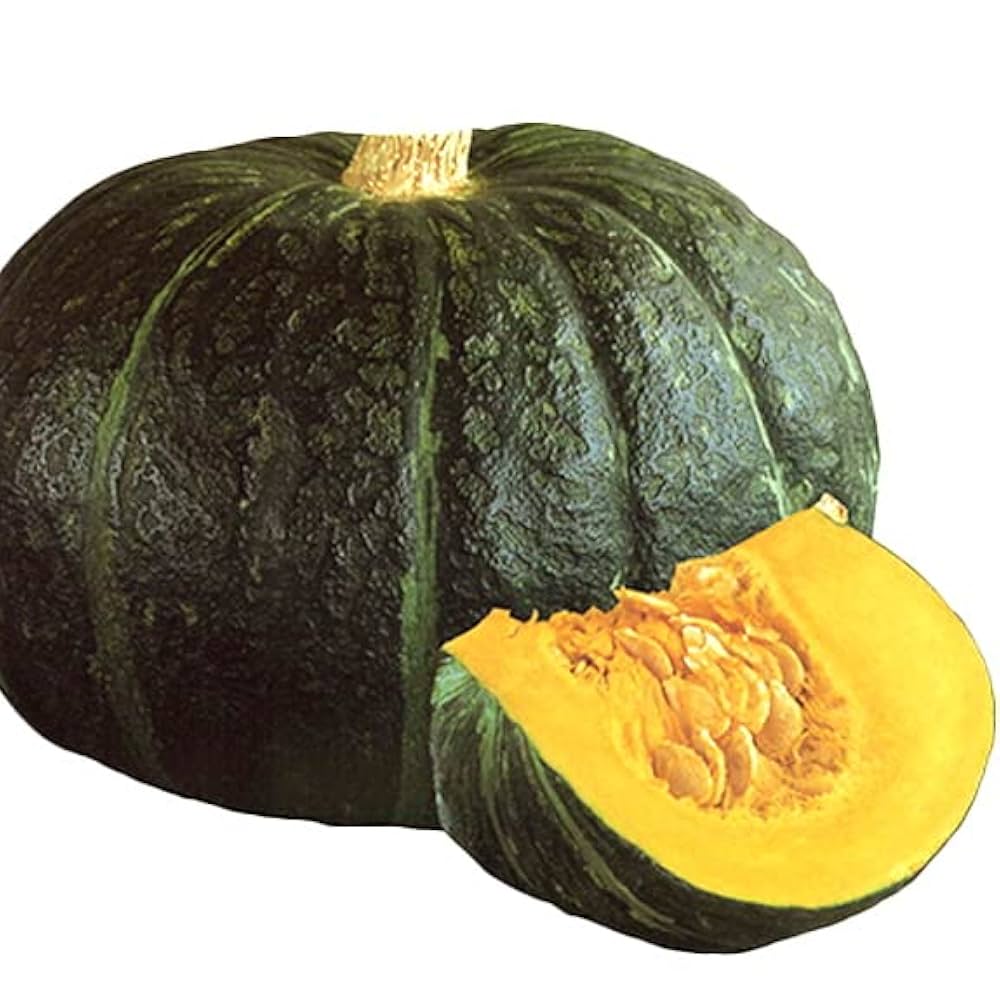 かぼちゃのちゃちゃ かぼちゃうちゃうちゃう【R】{RP2020/95}《自然》