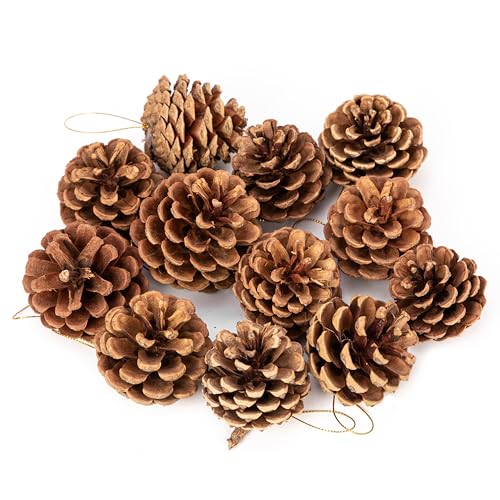 Lescli 12 Pcs Big Size Natural Pine Cones with Strings,