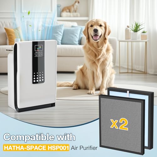 Image of HSP001 Filter Replacement Compatible with HATHASPACE Air Purifier HSP001 | 4-in-2 Filtration with H13 True Hepa and Activated Carbon, 2 Pack