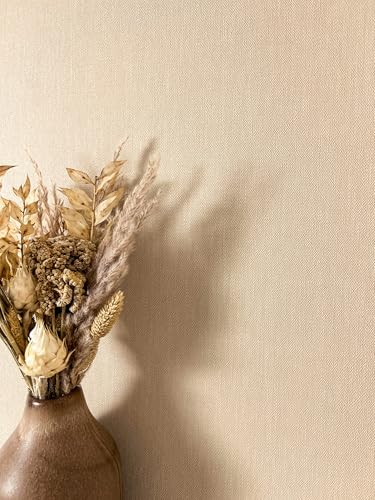 Newroom Tapete Beige Vliestapete Einfarbig - Unitapete Uni Creme Stoff-Optik Textil-Optik Modern Leinen-Optik Struktur inkl. Tapezier-Ratgeber