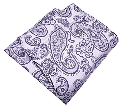 MENDENG Men's Silver Grey Paisley Pocket Square Handkerchief Wedding Party Hanky