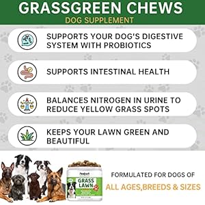 Grass Burn Spot Chews for Dogs – Dog Pee Lawn Spot Saver Caused by Dog Urine – Grass Treatment Rocks – DL-Methionine + Cranberry + Digestive Enzymes – Dog Urine Neutralizer for Lawn – 180 Soft Treats