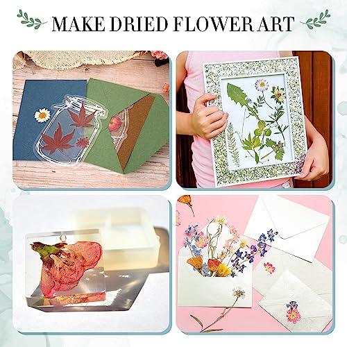 Image of Aboofx Large Wooden Flower Pressing Kit, 10.8 inchx6.9 inch 6 Layers