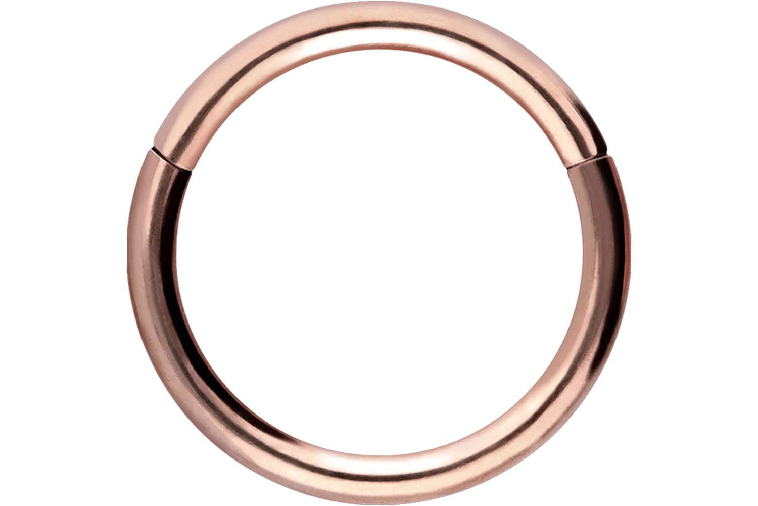 PIERCINGLINE Anillo segmento Clicker de acero quirúrgico – Piercing en oro, plata, rosa, negro o azul – para nariz, tabique, oreja, hélice o tragus — view 91