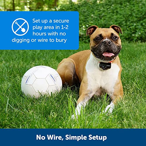 PetSafe-Wireless-Fence-Extra-Transmitter-Increase-Your-Existing-Wireless-Fence-Boundary--Pet-Containment-for-Dogs-and-Cats-From-the-Parent-Company-of-the-INVISIBLE-FENCE-Brand