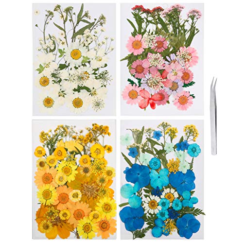 Auihiay 151 Pieces Real Dried Pressed Flowers for Crafts, Colorful Pressed Flowers Daisies for DIY Candle Resin Jewelry Nail Pendant Crafts Art Floral Decorations