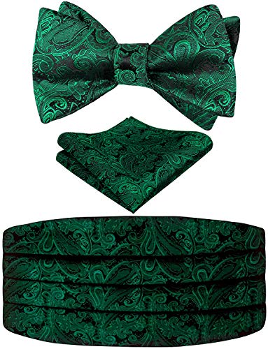 Alizeal Ensemble nœud papillon réglable classique cachemire pour homme, ceinture de smoking et carré de poche - Vert - Taille unique