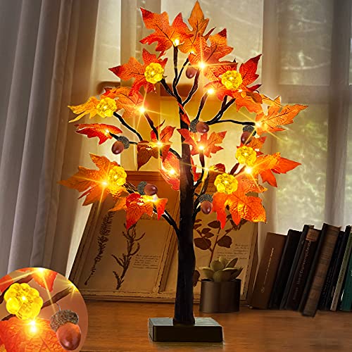 TURNMEON 24 Inch LED Maple Tree Fall Decor with Timer 24 Lights Battery Operated Tabletop Pumpkin Acorn Tree for Fall Thanksgiving Decorations Autumn Harvest Indoor Home Fireplace Decor(Warm White) TURNMEON 24 Inch LED Maple Tree Fall Decor with Timer 24 Lights Battery Operated Tabletop Pumpkin Acorn Tree for Fall Thanksgiving Decorations Autumn Harvest Indoor Home Fireplace Decor(Warm White)