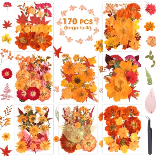 Image of 170 PCS Fall Dried Pressed Flowers with Tweezers, Real Nature Dried Flowers Orange Autumn Pressed Florals Set for Resin Scrapbooking Vase Candle Making Card Scrapbook Craft Floral Decors