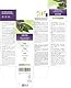 Salbei (Salvia officinalis) Blätter Alkoholfreier Urtinktur Naturalma - Flüssig-Extrakt Tropfen 120 ml - Nahrungsergänzungsmittel - Veganer