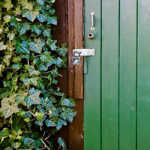 Door Locks Hasp Latch 4 Inch Lock Latch Stainless Steel Hasp Lock Extra Thick Door Hasp Locking Hasp Door Hasp Latch Gate Lock Hasp with Screws for Fence Doors Cabinets Closets Sliver - Image 6