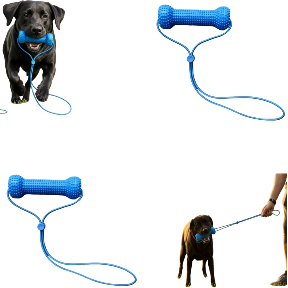 Dog Teeth Toy,Fresh Woof Dental Toy,Teething Chew Toys,Massages Mouth