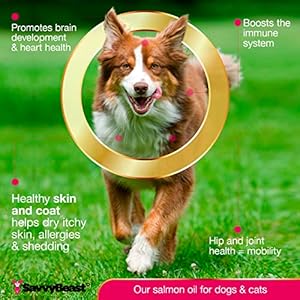 Wild Alaskan Salmon Oil for Dogs Cats Ferrets Unscented Antiitch Skin and Coat Supplement with Omega3 Vitamins  Liquid Fish Allergy Relief Pump on Food  Kitten Supplies  Accessories Stuff  Cucciolini Doodles Wild alaskan salmon oil for dogs cats ferrets unscented anti itch skin and coat supplement with omega 3 vitamins  liquid fish allergy relief pump on food  kitten supplies  accessories stuff   cucciolini doodles