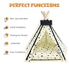 Pet Tent/Tipi for Cats & Dogs - Washable Canvas, Foldable Pet Teepee with Anti-Slip Base & Detachable Cushion | Indoor/Outdoor Safe Shelter for Pets Up to 66lbs-Beige-M
