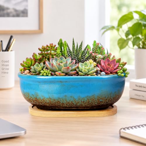 ARTKETTY Sukkulententöpfe, rechteckig mit Abtropfschale, ideal für Zimmerpflanzen wie Sukkulenten, Kaktusse, Bonsai… – Ansicht 3