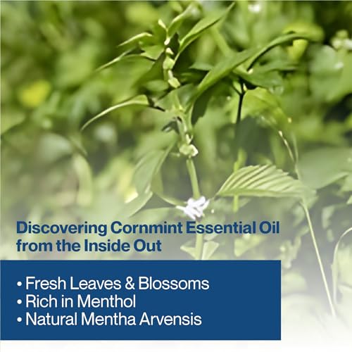 Aceite Esencial de Cornmint 100% Puro y Natural 15ml miniatura 7