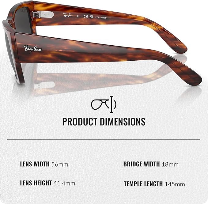 Image of Ray-Ban RB0947S CARLOS Rectangle Shaped Sunglasses for Men & Women with Official RAYBAN Eyewear Kit