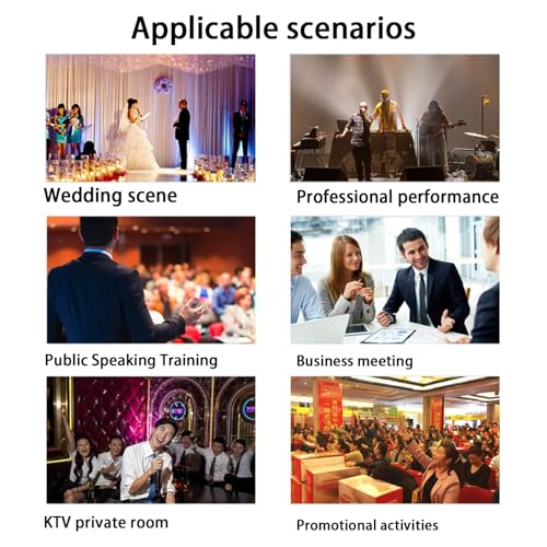 Desplazador de Frecuencia Anti-Howling, Procesador de Audio para Eliminación de Retroalimentación con Preservación del Sonido, para Presentaciones en Vivo, Karaoke y Salas de Conferencias miniatura 5