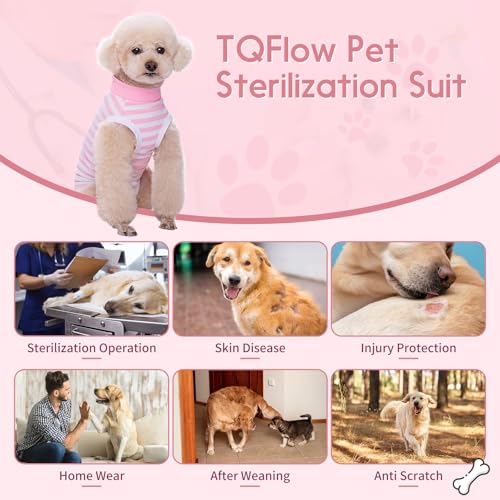 TQFlow Hundbody Nach Op, Body Hund Kastration Wundschutzanzüge Hündin Rüde, Wundschutz Professioneller Pet Recovery Suit, Operationsbody Hund Body Atmungsaktiv Hunde Einteiler (Rosa,XS)
