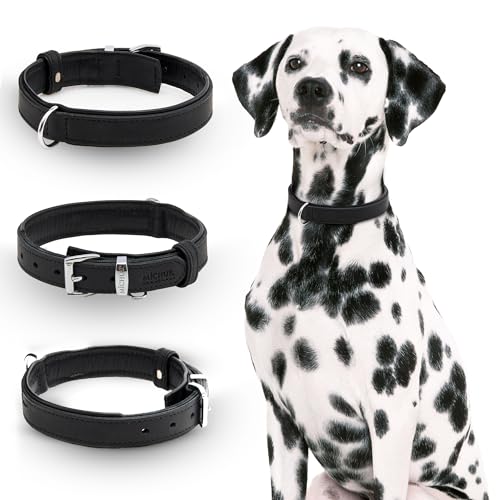 Michur Minimo Schwarz Hundehalsband Leder, Lederhalsband Hund, Halsband, Leder, in verschiedenen Größen erhältlich