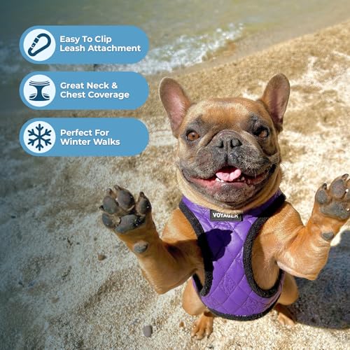 Image of Best Pet Supplies - All Weather Plush, Reflective, No Pull Harness for Small, Medium Dogs, Cats - Secure with Hook & Loop Fastener, Buckle, Double D-Rings - Purple Faux Leather, XS