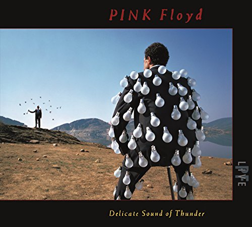 Delicate Sound of Thunder Live Album Musique Rock Progressif Double LP
