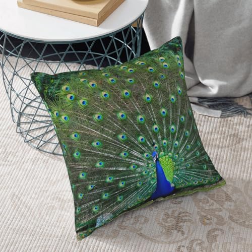 Housse de coussin velours côtelé paon 45x45 cm pour salon