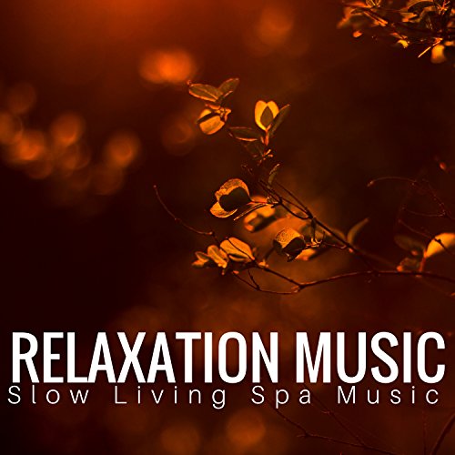 Relaxation Music Slow Living Spa Music, Lounge Evening, Relaxing
