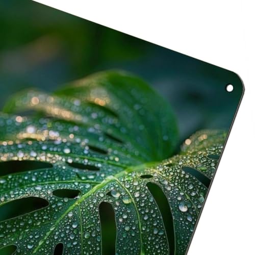 Poster en métal Monstera déco murale durable pour mur vide