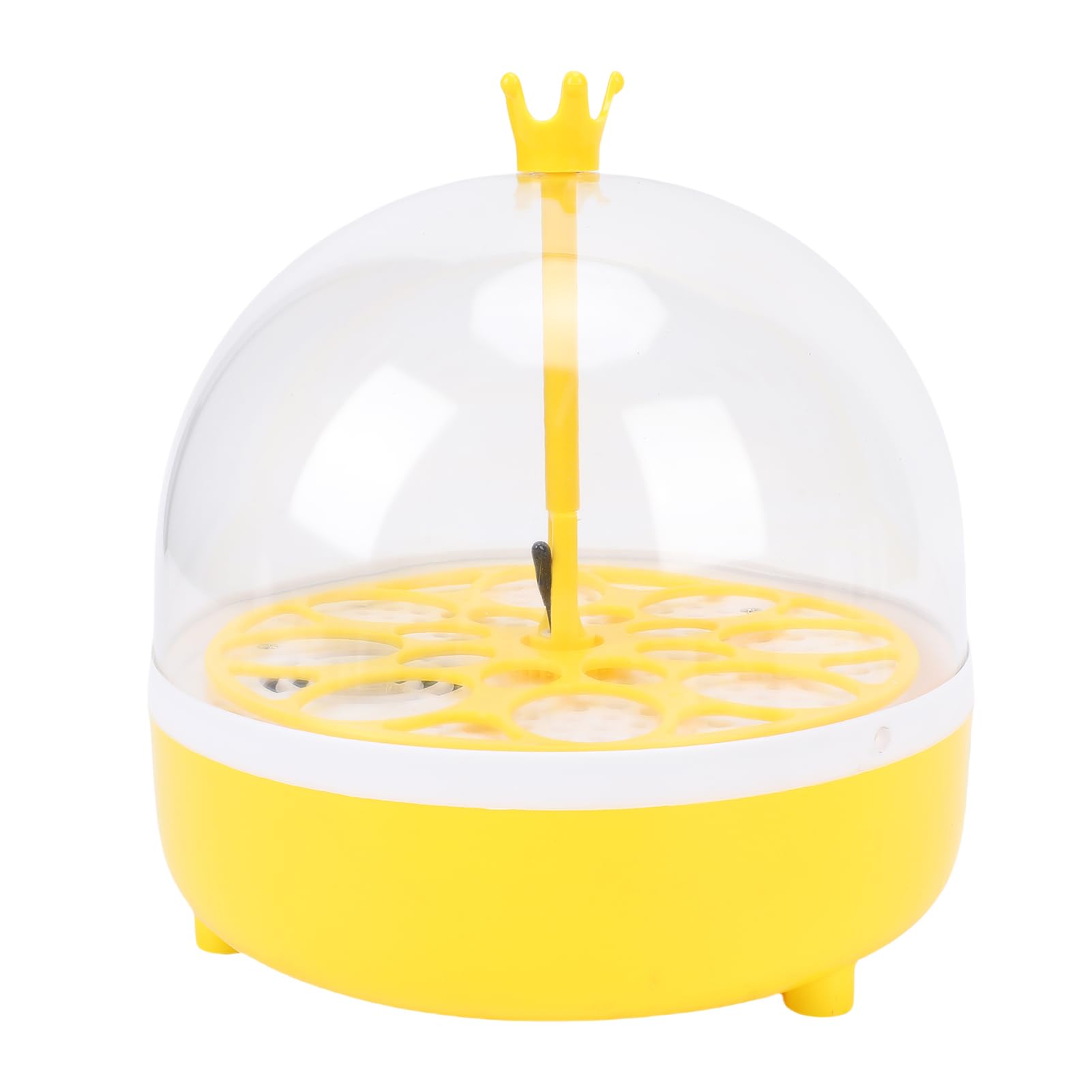 Buachois Incubatrice per uova da cova, tornitore automatico per uova con controllo dell'umidità della temperatura, mini design portatile per uova di pollo, anatra, uccelli, casa, scuola, uso educativo