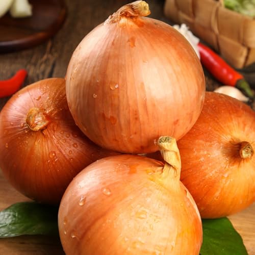 semillas - bulbos de cebolla para de invierno, aromáticas cebolla en resistentes culinarias, orgánicas, 40pcs