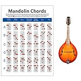 Milisten Mandolin Chords Cheatsheet Mandolin Reference Paper Mandolin Trainer Tool for Beginners...