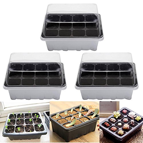 BraveWind 3 Pcs 12 Cells Hole Seeds Grow Box Case Plastic Germination Seed Starter Tray Flower Plant Pot Propagation Seedling Tray
