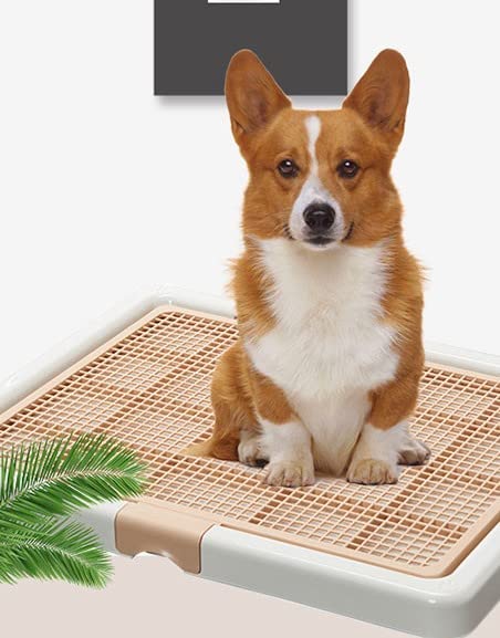 Amazon | SENKAR 犬用トイレトレー 犬用トイレトレー ペット用トイレ