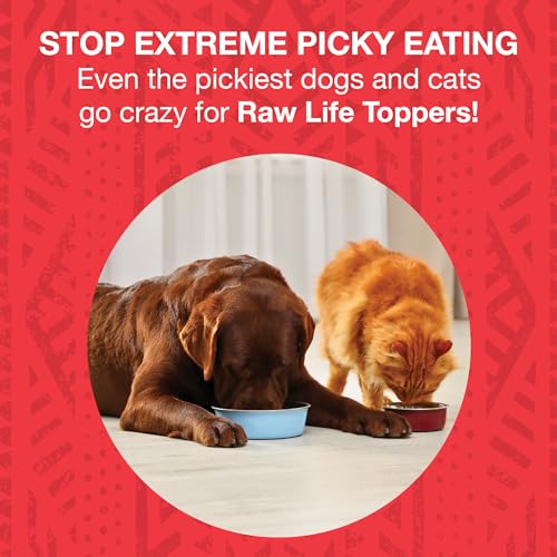 KOHA-Raw-Life-Freeze-Dried-Raw-Topper-Beef-for-Dogs-and-Cats-High-Protein-Meal-Topper-for-Picky-Eaters-with-Probiotics-8oz-Bag KOHA Raw Life Freeze Dried Raw Topper Beef for Dogs and Cats High Protein Meal Topper for Picky Eaters with Probiotics 8oz Bag