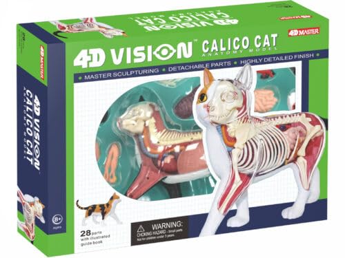 Image of 4D Vision Calico Cat Anatomy Model - Medical Quality Collectible with Fully Detachable Organs and Body Parts