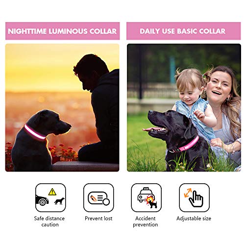 MASBRILL Hundehalsband Leuchtend Aufladbar, LED Leuchthalsband Wasserdicht für Kleine Mittlere Große Hunde Einstellbar Blinklicht Sicherheit Halsband mit 3 Beleuchtungsmodi, Rosa - M