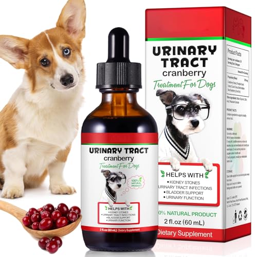 Hundeurin Trakt Infektion Behandlung Tropfen,Hund UTI Heil Tropfen Mit Cranberry Extrakt Unterstützt Blase, Nierenstein, Prävention Von Inkontinenz Bei Harnversorgung Gesundheit Für Hunde (1 Flaschen)