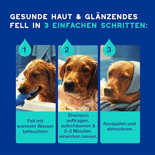 DOUXO Skin & Coat SPA – Ultra-Safe* Shampoo gegen Geruch für Hunde, 250 ml, reinigt die Haut und spendet Feuchtigkeit, entfernt Gerüche, hinterlässt angenehm duftendes Fell, hautfreundliche Rezeptur
