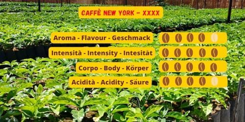 Caffè New York - XXXX - Caffè in grani, gusto intenso ma soave, arabica e robusta media tostatura, da macinare, caffe espresso italiano, miscela da bar - alta qualità dal 1930-1 kg, chicchi
