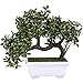 Artificial Bonsai Tree - Fake Plant Decoration, Potted Artificial House Plants for Home DecorIndoor, Ficus Bonsai Tree Plant for Decoration, Desktop Display, Zen Garden Decor- 10 x 6 x 8 Inches