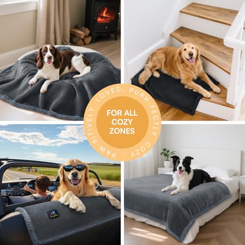 luciphia wasserdichte Hundedecke, Hunde Decke für Hund Katzen Groß Waschbar, Haustierdecke Wasserfeste Flauschig Sherpa Fleece, Wasserdicht Decke für Sofa Couch Bett, Lichtgrau S (71 * 102cm)