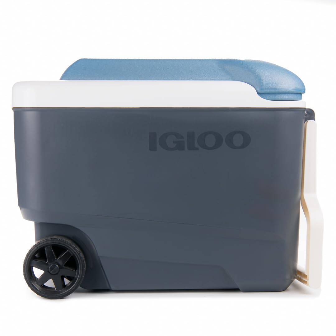 Amazon | igloo(イグルー) マックスコールド 40 ローラー (38L) #34484