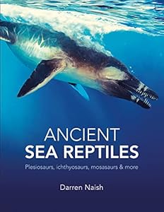 Vedi scheda su Amazon Ancient Sea Reptiles Plesiosaurs, ichthyosaurs, mosasaurs and more