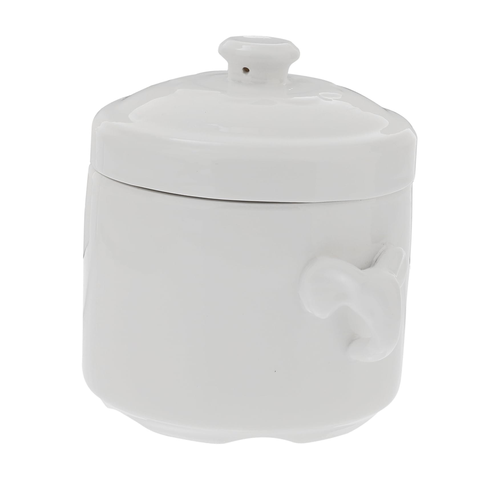 JDJUBOA 1pc Soup Cup Soup Bowl with Lid Stock Pot Cooking Ramen Bowl with Lid Birds Nest Bowls Stew Bowl for Soup Covered Stock Pot Casserole Pot with Lid Stewing Pot White Ceramics